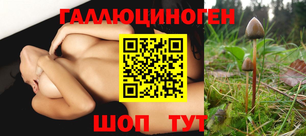 Псилоцибиновые грибы мухоморы  Вход с VPN  Каменск-Уральский 