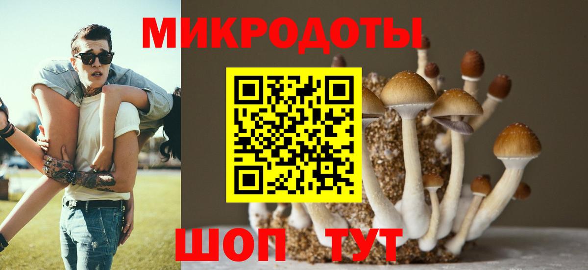 Псилоцибиновые грибы Psilocybine cubensis Каменск-Уральский